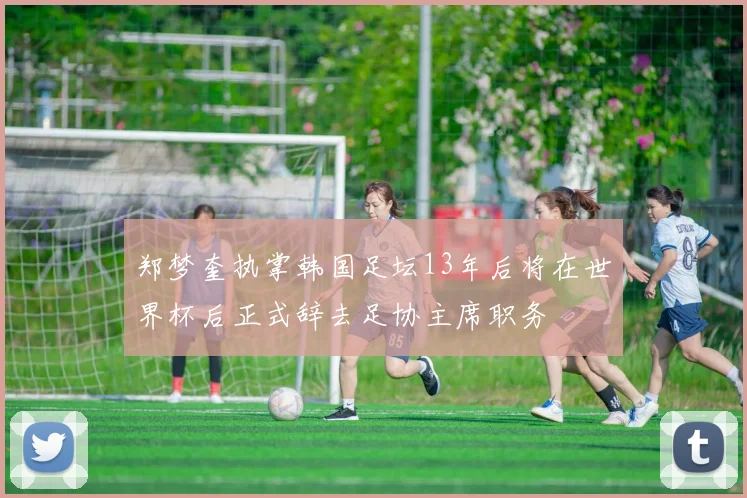 郑梦奎执掌韩国足坛13年后将在世界杯后正式辞去足协主席职务