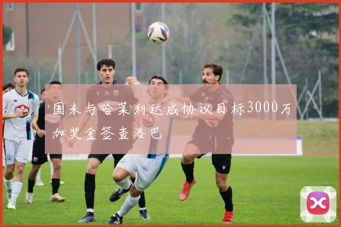 国米与哈莱利达成协议目标3000万加奖金签查洛巴