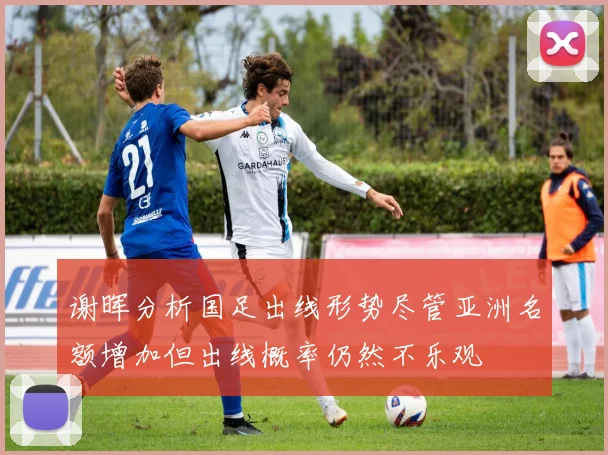 谢晖分析国足出线形势尽管亚洲名额增加但出线概率仍然不乐观